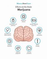 Image result for Negative Effects of Marijuana