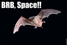 Image result for Space Bat Meme