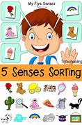 Image result for 5 Senses Sort