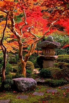 Zen Garten mit schönen Herbstblättern | Japanischer garten, Chinesischer garten, Zen-garten