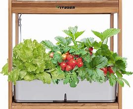 Image result for Hydroponic Grow Kit