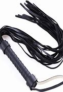 Image result for Horse Riding Whip