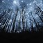 Image result for Night Sky Backdrop