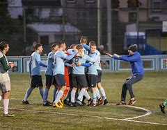 Image result for welsh_football_league_division_one