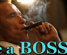 Image result for Arnold Schwarzenegger Cigar Meme