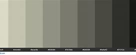 Image result for Beige Hexadecimal