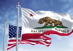 Image result for What Is the State Flag for California