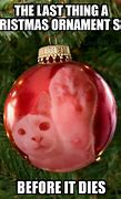 Image result for Cats and Christmas Trees Funny
