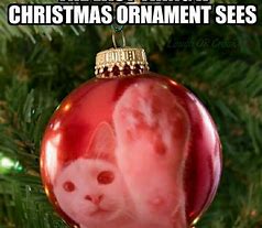 Image result for Christmas Cat Memes