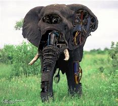 Image result for Robot Animals Looks Real