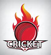 Image result for Some Cricket Images