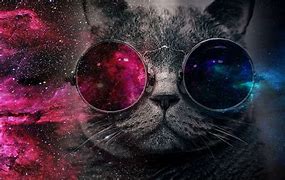 Image result for Orange Galaxy Cat Art