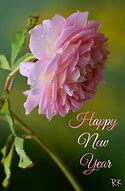 Image result for Quote Happy New Year Flowers