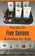 Image result for 5 Senses See Activities