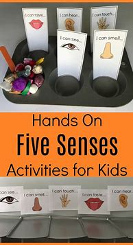 Image result for Five Senses Activities for Toddkers