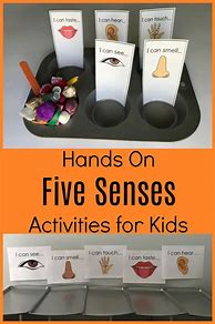 Image result for Senses Activities for Preschoolers