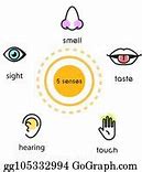 Image result for 5 Senses Visual