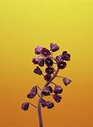 Image result for iPhone 8 Wallpaper Colorful