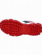 Image result for DSC Cricket Shoes