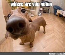 Image result for Where Are U Going Meme