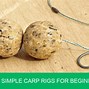 Image result for Simple Carp Fishing Rigs