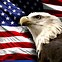 Image result for American Flag Eagle Constitution