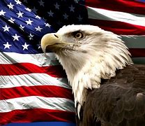 Image result for American Bald Eagle with Flag Banner