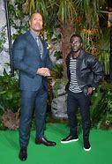 Image result for How Tall Is Kevin Hart