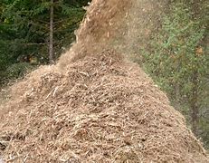 Image result for Tree Pulp