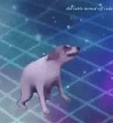 Image result for The Ultimate Dance Meme GIF
