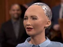 Image result for Female Robots in 2030