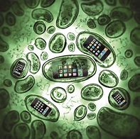 Image result for Cell Phone Germs