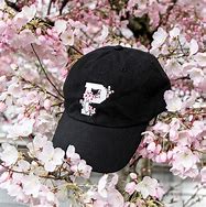Image result for Washington Wizards Cherry Blossom Hat