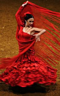 Image result for Flamenco