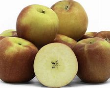 Image result for Jazz Apples