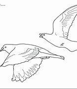 Image result for Flying Bird Outline Drawing
