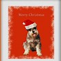 Image result for Funny Dog Christmas Greetings