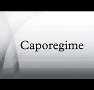 Image result for caporegime