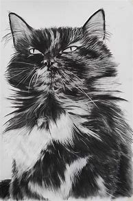 Image result for Charcoal Art Pieces