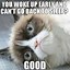 Image result for Good Morning Grumpy Cat