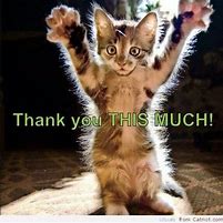 Image result for Thank You so Much Cat Meme