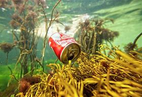 Image result for Soda Tin Can Pollution Ocean