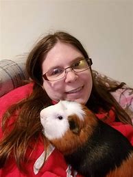 Image result for Dog and Guinea Pig