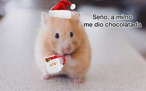 Image result for Memes De Julio Para Navidad
