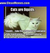 Image result for Dank Cat Memes Mug