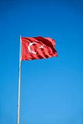 Image result for Flag of Turkey