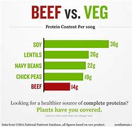 Image result for Beef Vs. Vegetable