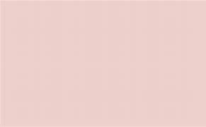 Image result for Rose Solid Color Background