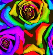 Image result for Gothic Skull and Rose Coloring Pages