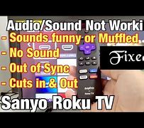 Image result for Sanyo TV Digital Audio Output